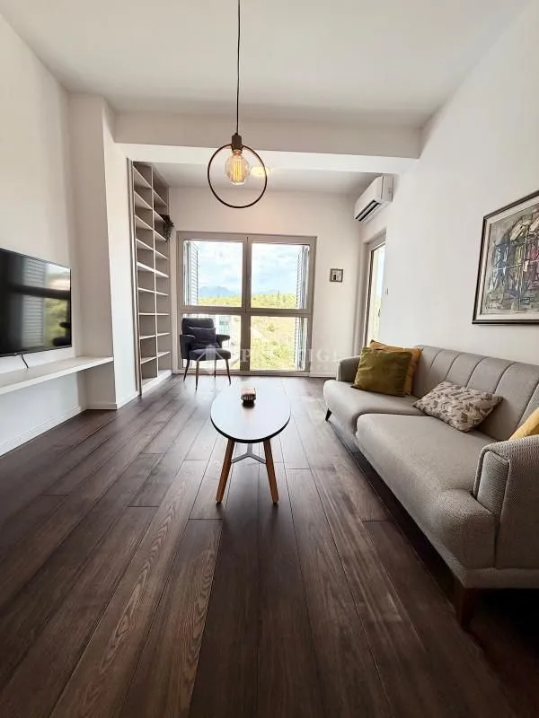 Rent, one bedroom apartment, 48m², Vezirov Most, Podgorica
