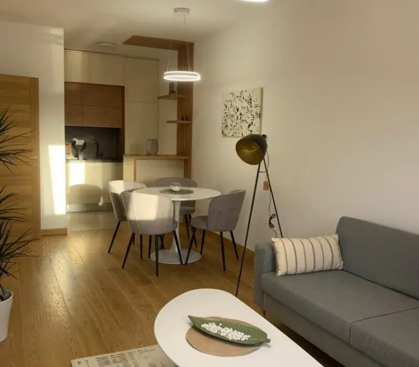 Izdavanje, jednosoban stan, 47m², New City, Podgorica
