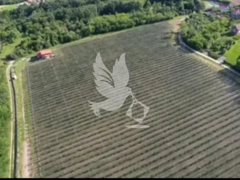 Sale, land lot, 32000m², Babe, Sopot - image 2