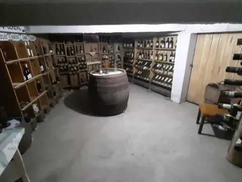 Prodaja, kuća, 334m², Beočin, Srbija - image 13