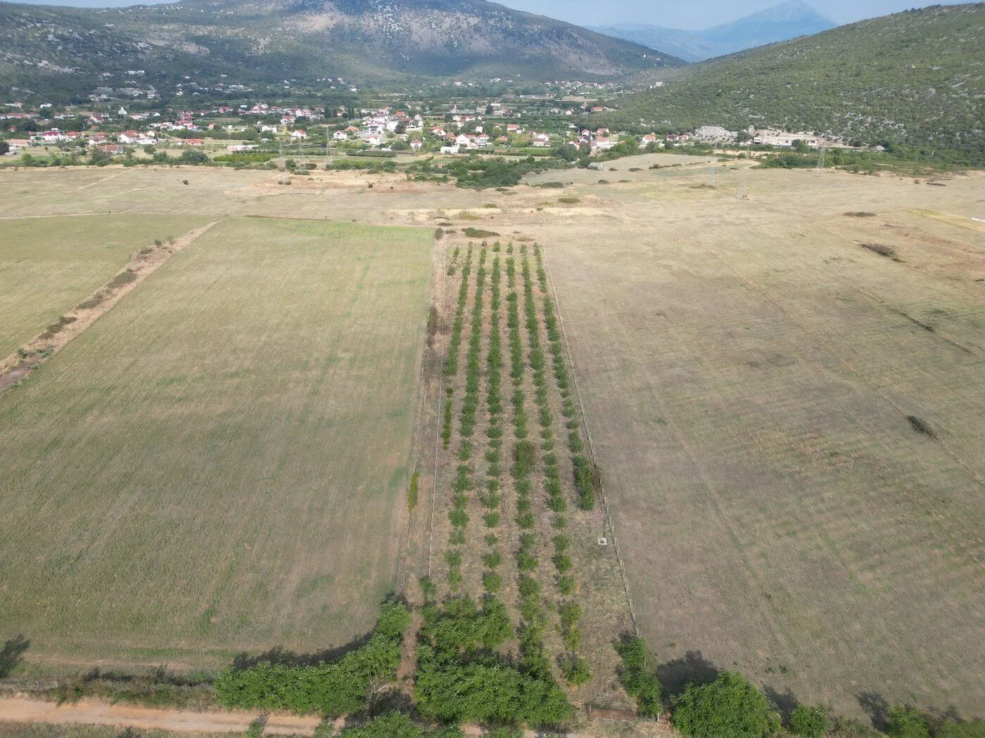 Prodaja, plac, 19800m², Donja Gorica, Podgorica