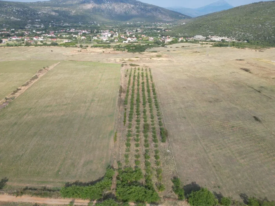 Sale, land lot, 19800m², Donja Gorica, Podgorica