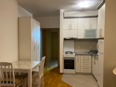 Rent, studio apartment, 30m², Tuški Put, Podgorica - image 2