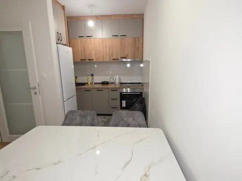 Prodaja, jednosoban stan, 47m², Central Point, Podgorica - image 3