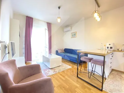 Izdavanje, jednosoban stan, 36m², Stari Aerodrom, Podgorica - image 1