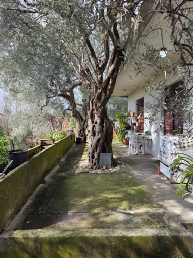 Prodaja, plac, 1018m², Bar, Crna Gora