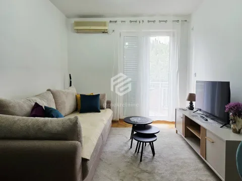 Rent, one bedroom apartment, 44m², Stara Varoš, Podgorica