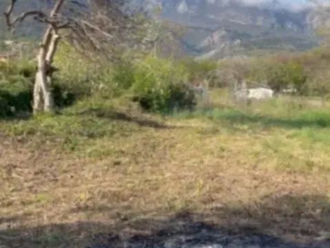 Prodaja, plac, 800m², Bjeliši, Bar - image 4