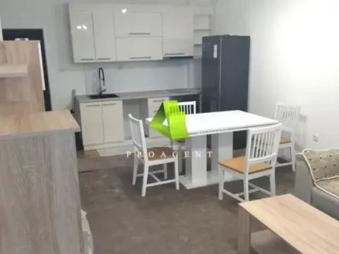 Izdavanje, dvosoban stan, 56m², Pantelej, Niš - image 3