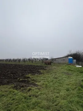 Pogled na prostrano zemljište sa pomoćnim objektom i voćnjakom. - image 2