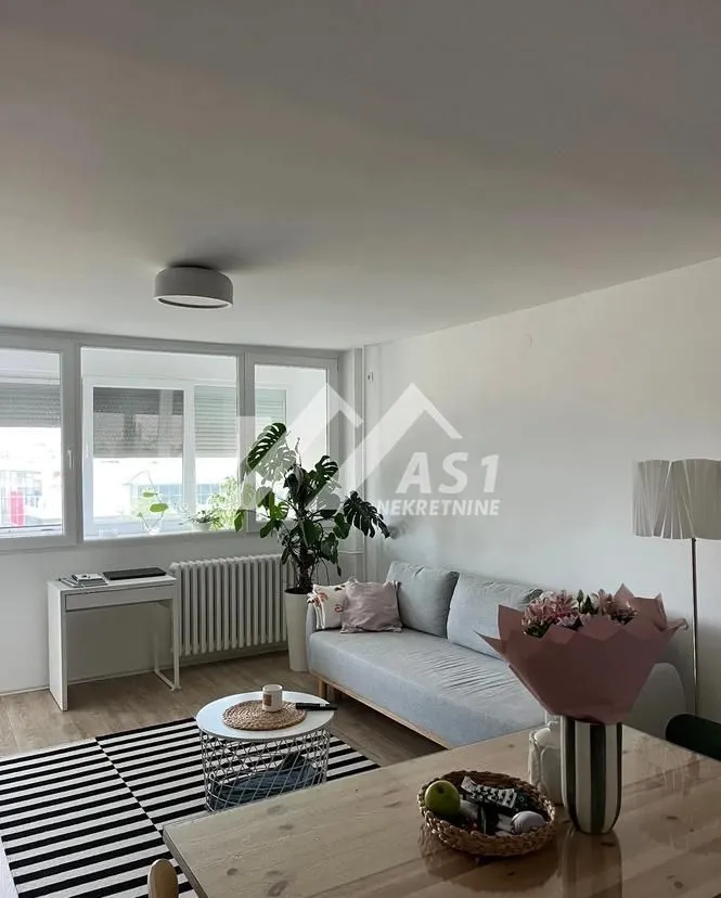 Izdavanje, dvosoban stan, 53m², Liman 2, Novi Sad Sve Podlokacije