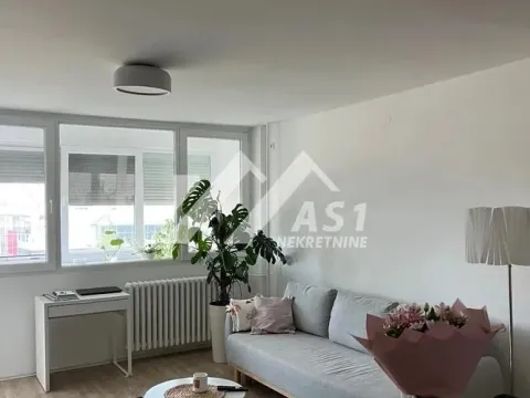 Izdavanje, dvosoban stan, 53m², Liman 2, Novi Sad Sve Podlokacije - image 2