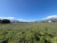 Sale, land lot, 7430m², Novo Selo, Danilovgrad - image 2