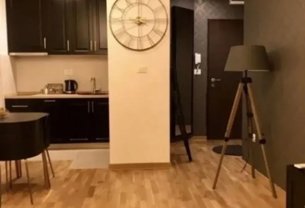 Izdavanje, jednosoban stan, 45m², City Kej, Podgorica