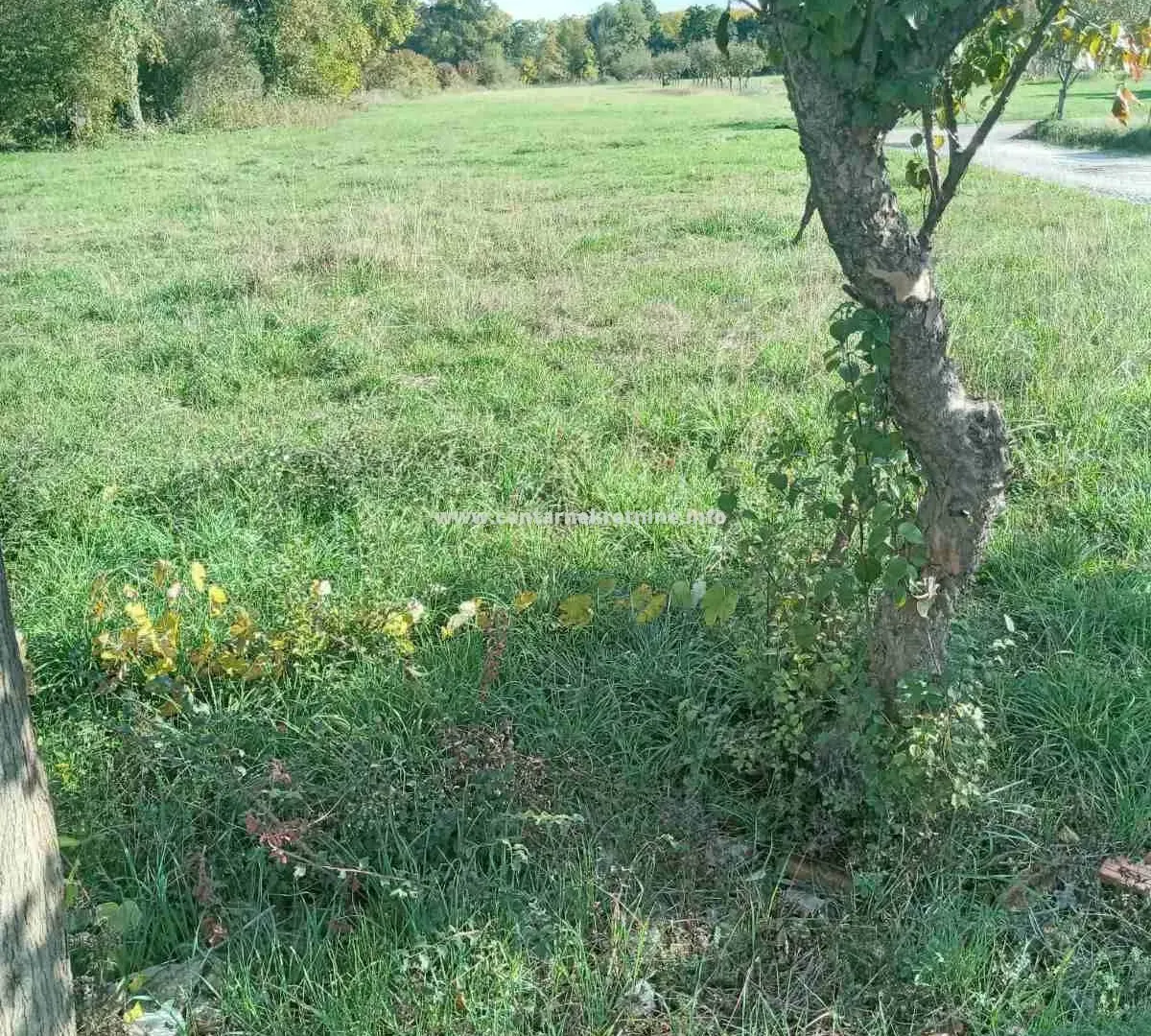Prodaja, plac, 8711m², Grlić, Danilovgrad