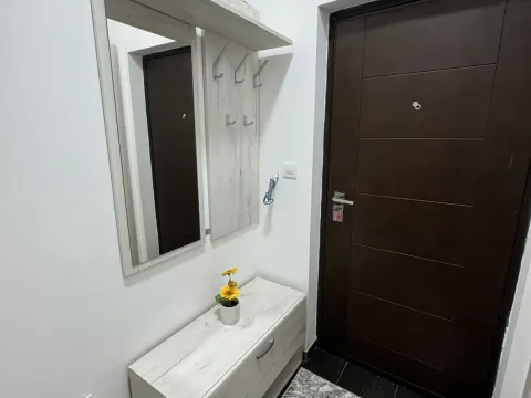 Rent, one bedroom apartment, 35m², Ljubović, Podgorica - image 6