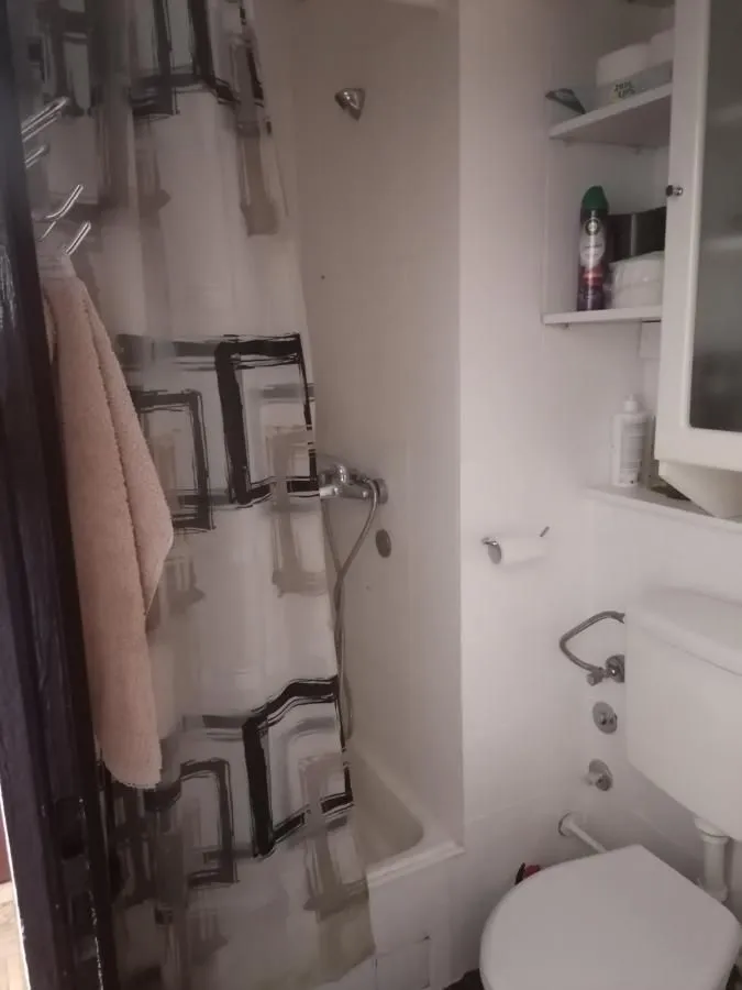 Izdavanje, jednosoban stan, 30m², Sajmište, Novi Sad