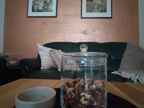 Izdavanje, trosoban stan, 80m², Podbara, Novi Sad Sve Podlokacije - image 1