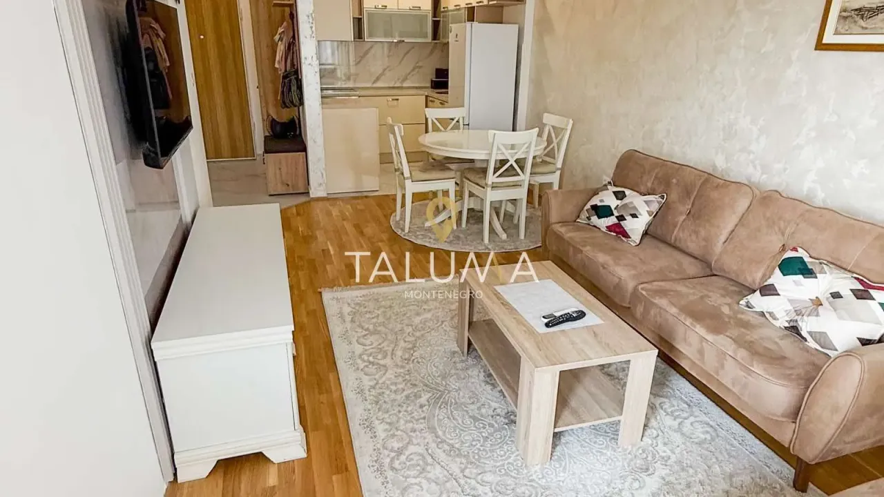 Rent, one bedroom apartment, 47m², Zagorič, Podgorica