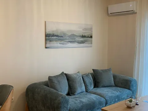 Izdavanje, jednosoban stan, 40m², Pobrežje, Podgorica - image 14