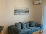 Rent, one bedroom apartment, 40m², Pobrežje, Podgorica - image 14