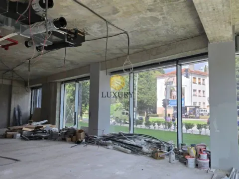 Rent, office space, 378m², Centar, Podgorica - image 5