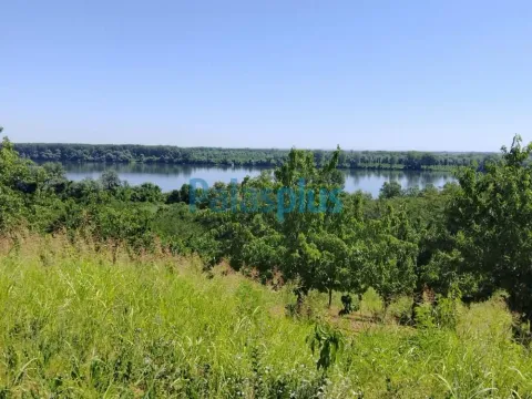 Sale, land lot, 2476m², Plavinci, Grocka - image 6