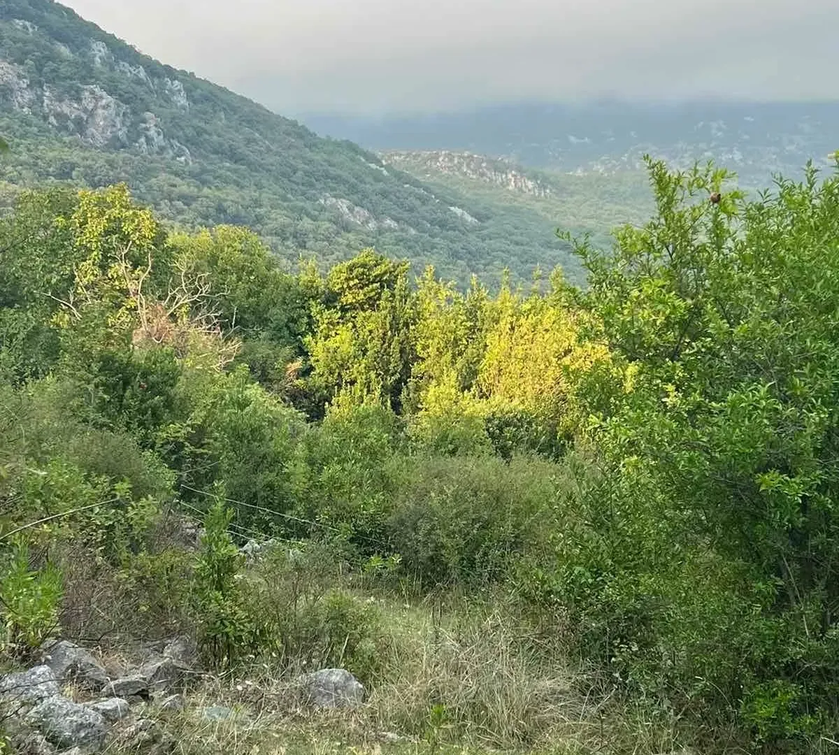 Prodaja, plac, 9800m², Herceg Novi, Crna Gora