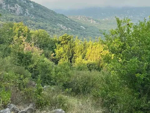 Prodaja, plac, 9800m², Herceg Novi, Crna Gora - image 6