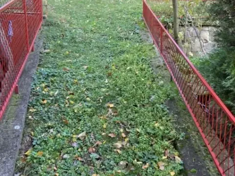 Prodaja, kuća, 63m², Rakovac, Novi Sad Sve Podlokacije - image 53