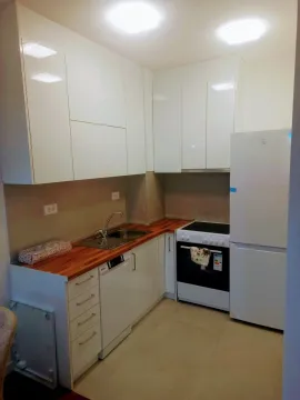 Manja bijela kuhinja sa drvenom radnom pločom i frižiderom. - image 10