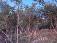 Prodaja, plac, 10m², Kruče, Ulcinj - image 4