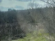 Prodaja, plac, 36m², Banoštor, Beočin - image 3