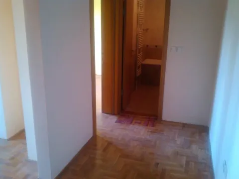 Rent, four bedroom apartment, 103m², Nova Detelinara, Novi Sad Sve Podlokacije - image 10