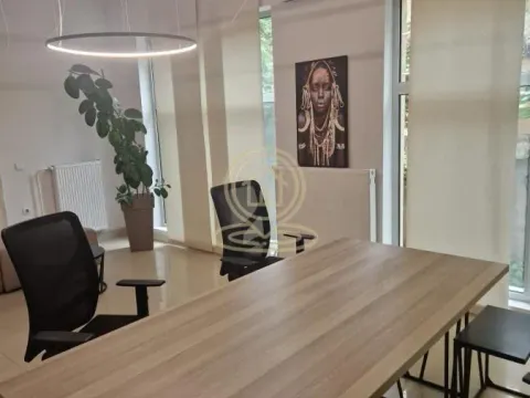 Rent, office space, 70m², Hadzipopovac, Palilula Sve Podlokacije - image 8