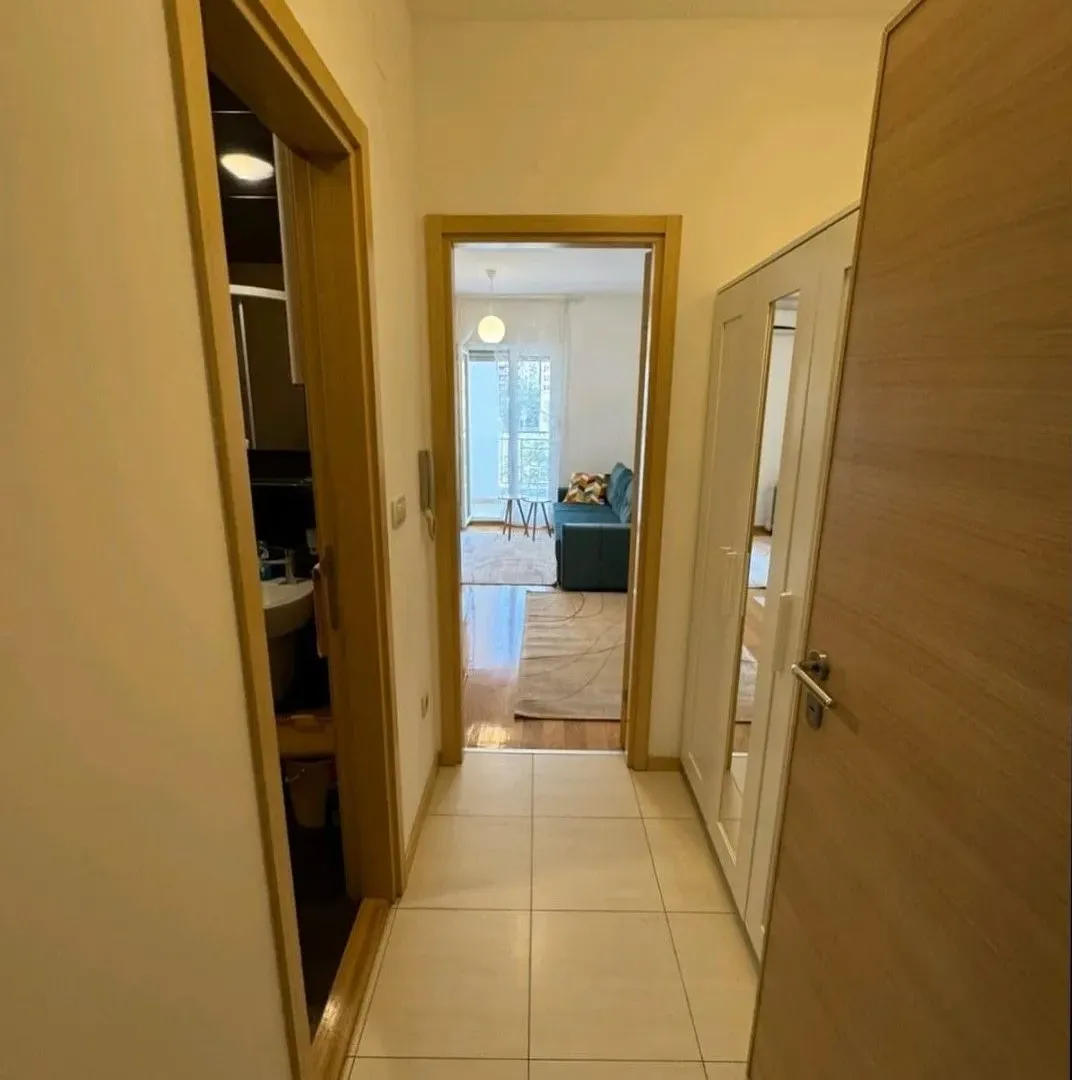 Izdavanje, garsonjera, 26m², Blok 6, Podgorica
