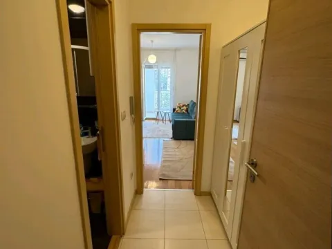 Izdavanje, garsonjera, 26m², Blok 6, Podgorica - image 8