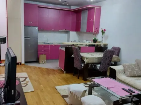 One Bedroom Apartment for Rent, 55m2, City Kvart, Podgorica