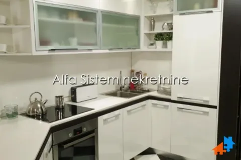 Izdavanje, dvosoban stan, 60m², Vračar Hram, Vračar Sve Podlokacije - image 5