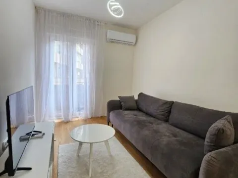 Izdavanje, jednosoban stan, 43m², Central Point, Podgorica - image 11