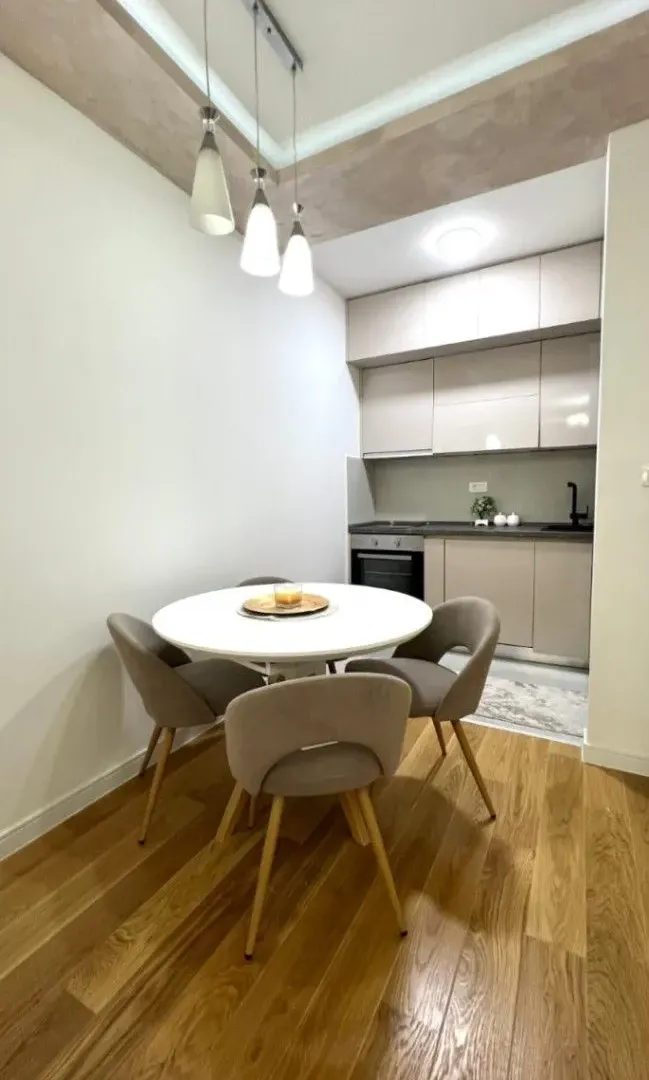 Rent, one bedroom apartment, 47m², Central Point, Podgorica