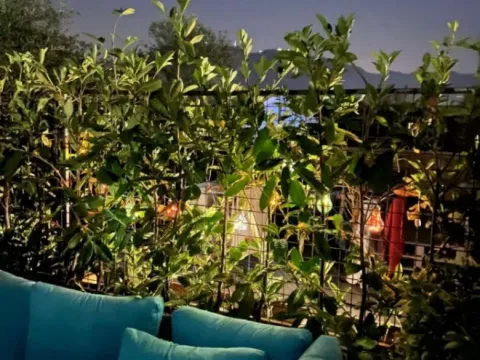 Prodaja, jednosoban stan, 47m², Obala Đuraševića, Tivat - image 9