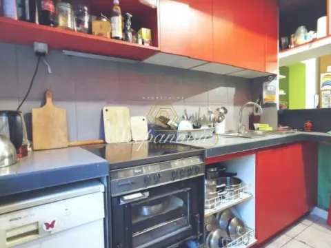 Izdavanje, kuća, 311m², Sremska Kamenica, Petrovaradin - image 5