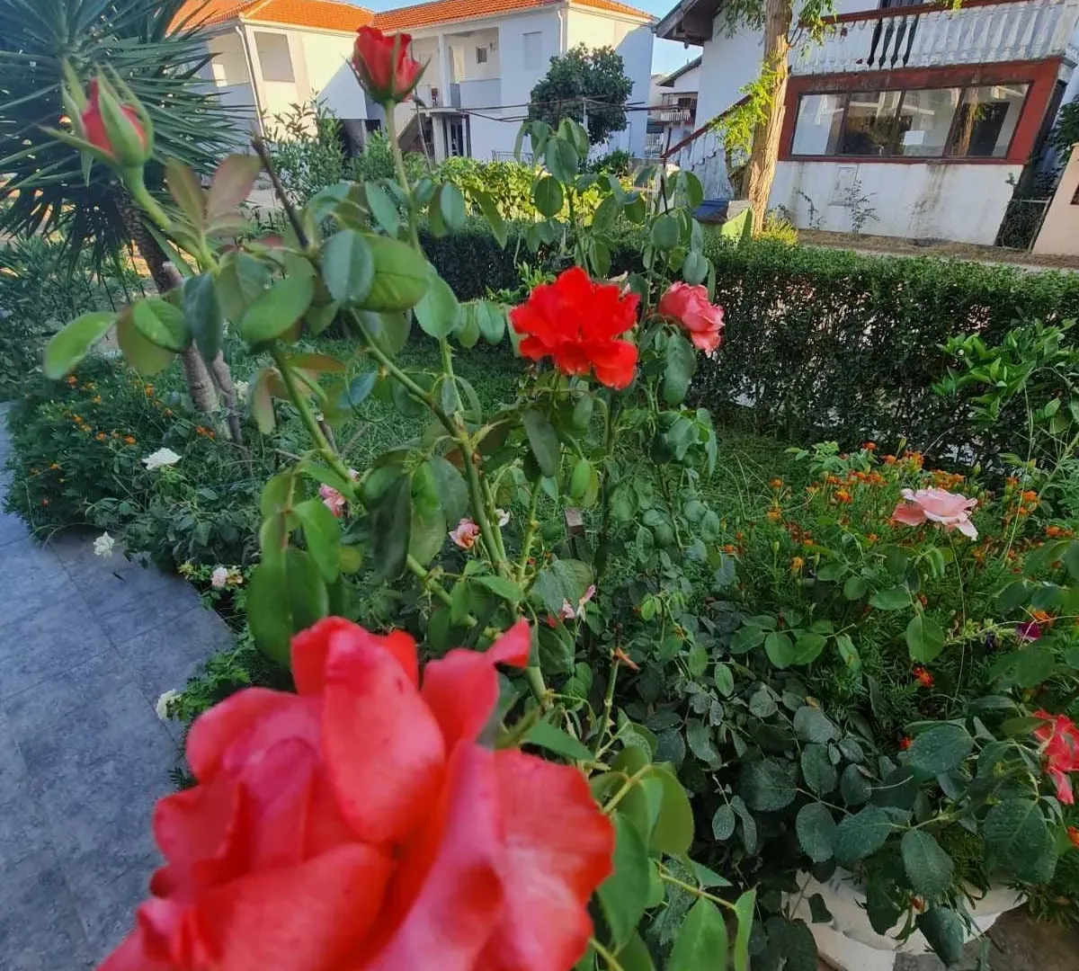 Prodaja, ugostiteljski objekat, 900m², Ulcinj, Crna Gora