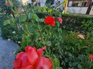 Sale, office space, 900m², Ulcinj, Crna Gora - image 6