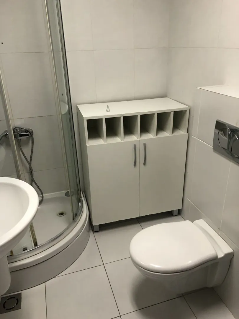 Bright bathroom with a shower cabin, toilet, and a small white cabinet.