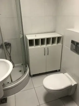 Bright bathroom with a shower cabin, toilet, and a small white cabinet. - image 19