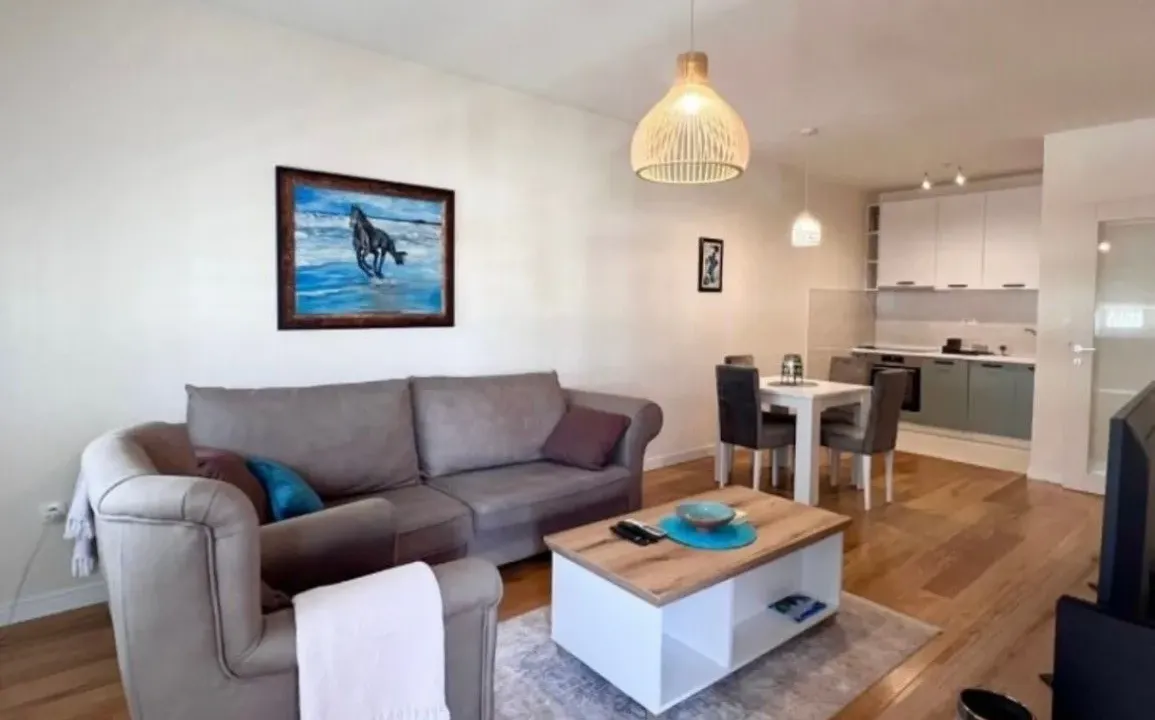 Izdavanje, jednosoban stan, 50m², Central Point, Podgorica