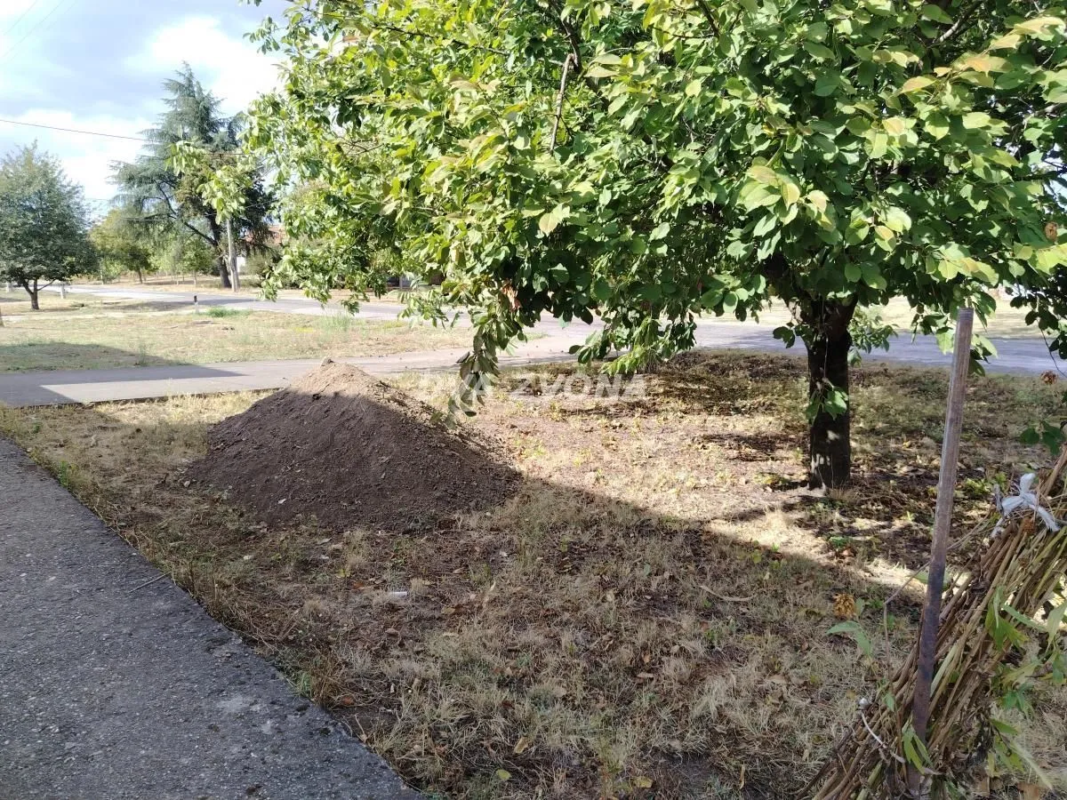 Dvorište sa drvećem i gomilom zemlje pored ulice.
