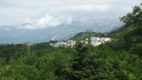 Pogled na planinski pejzaž sa zelenilom i kućama u daljini. - image 3